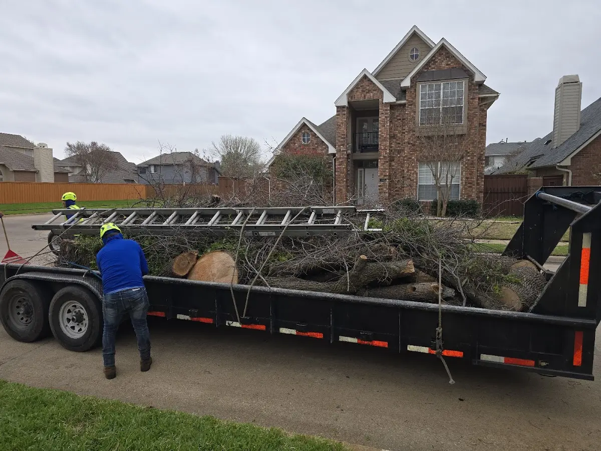 Expert Lot Clearing with proper safety equipment in Westbrook